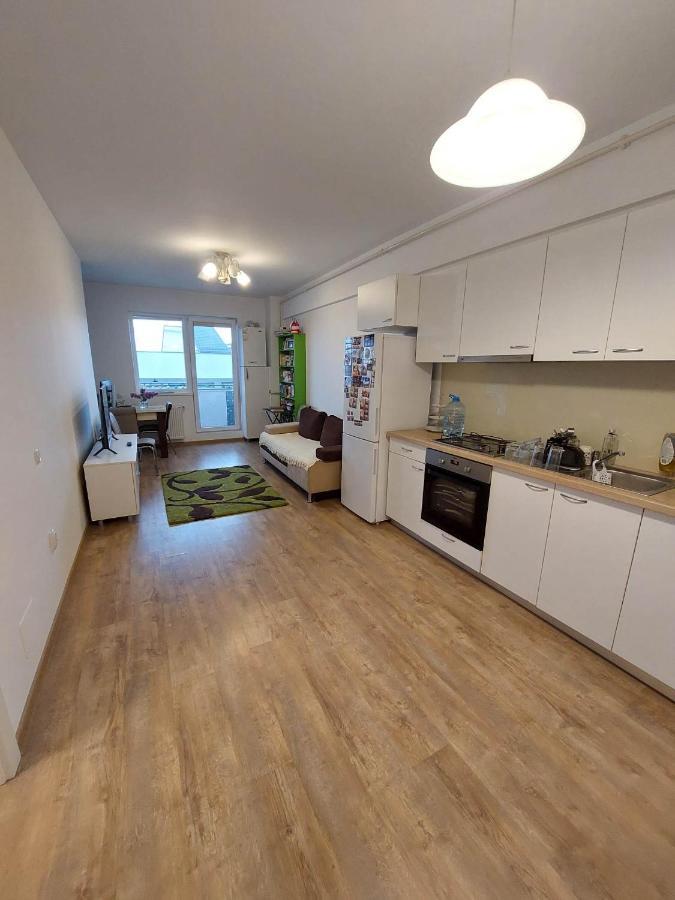 Iris Cluj Apartament エクステリア 写真